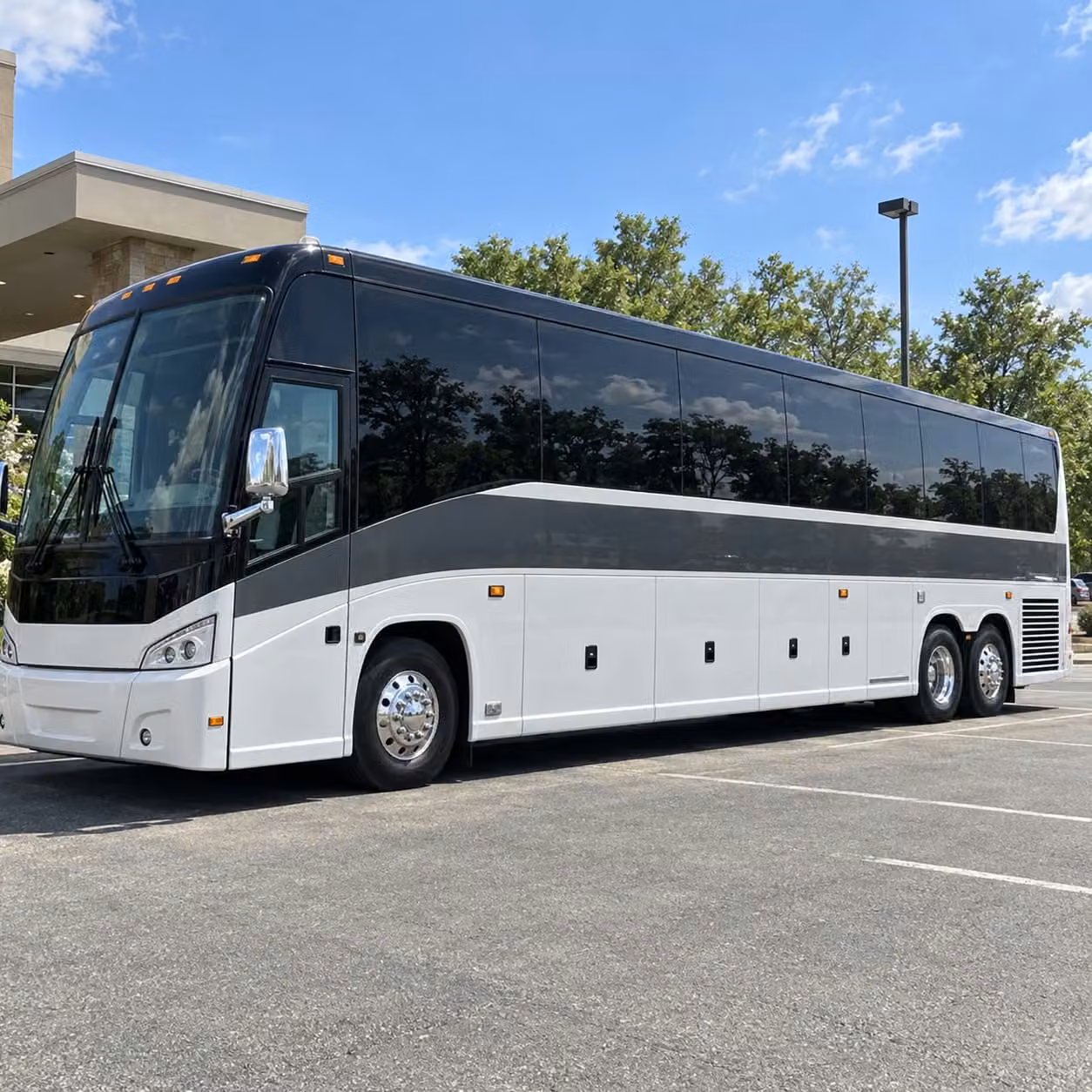 fill out one form to book taunton field trip transportation to roger williams park zoo and providence
